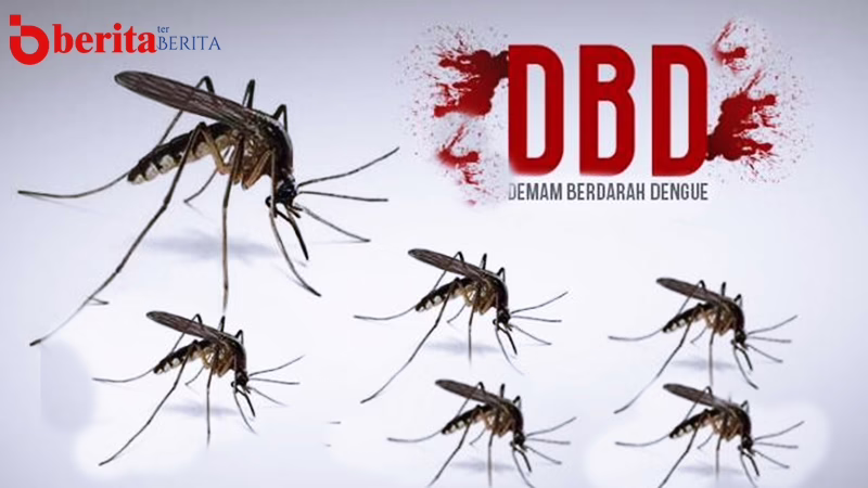 Waspada! Serangan Demam Berdarah Mengganas di Pasuruan: Ratusan Warga Terjangkit di Awal Tahun!