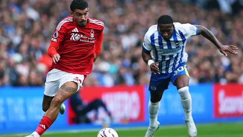 Brighton vs Nottingham Forest: Siapa Lebih Pantas Lolos ke Semifinal?