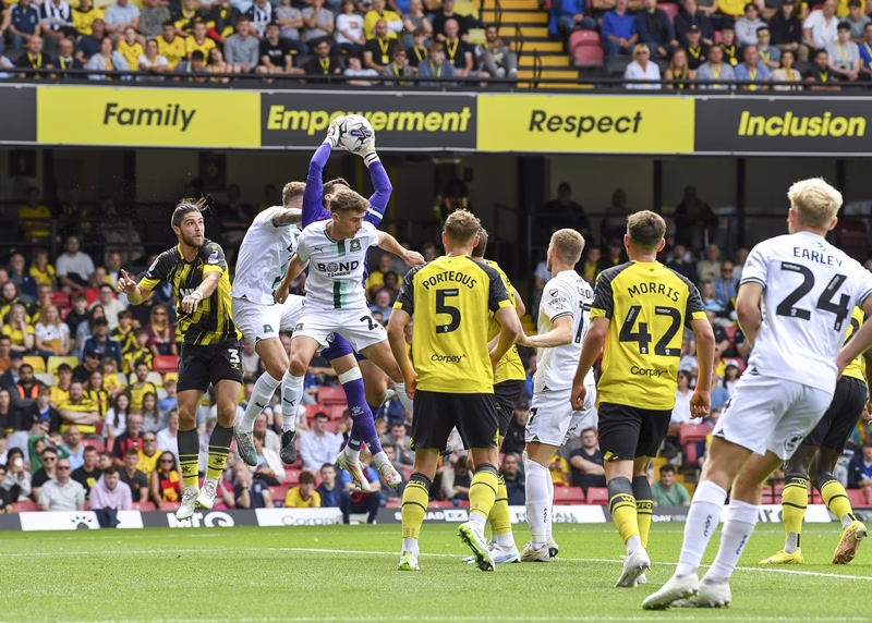 Watford vs Plymouth Argyle, Prediksi Misi Berat Plymouth Argyle di Kandang Watford