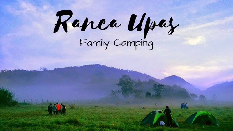 Ranca Upas Bandung 2025: Bertemu Rusa Jinak Lebih Dekat, Harga Tiket dan Pengalaman Camping Terbaru!