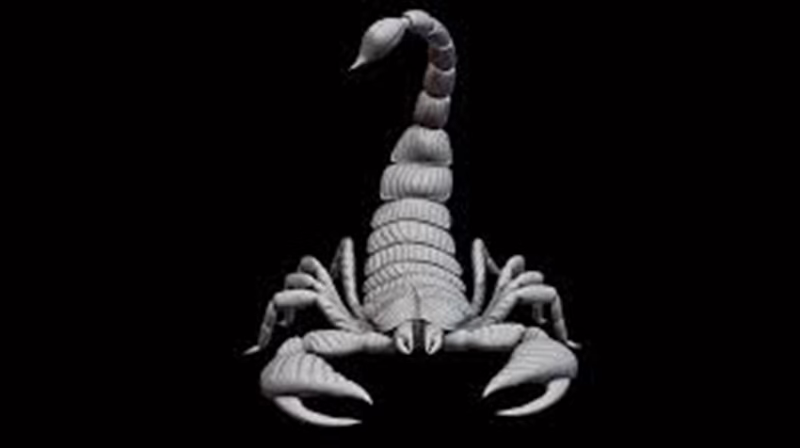 Ramalan Zodiak Scorpio Kamis 3 April 2025: Keceriaan Membuka Pintu Peluang Baru!