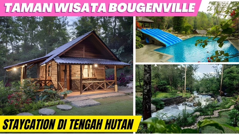 Taman Wisata Bougenville Bandung 2025: Pesona Bunga Warna-Warni yang Memanjakan Mata, Harga Tiket dan Pengalaman Piknik Terbaru!