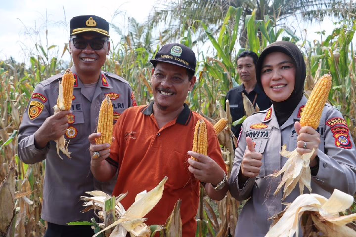 Ketahanan Pangan Nasional: Satgas Dedi Prasetyo Soroti Panen Jagung Fantastis Polri di Bantul