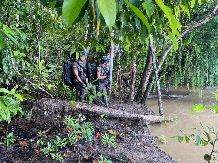Zona Merah Bintuni: Detik-Detik Brimob Menyisir Hutan Cari Iptu Tomi Marbun, Bikin Deg-degan!